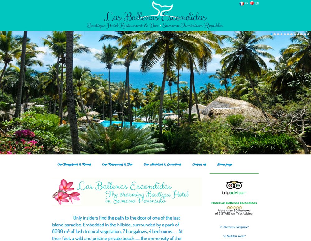 Mejor diseño páginas web en Las Terrenas República Dominicana.