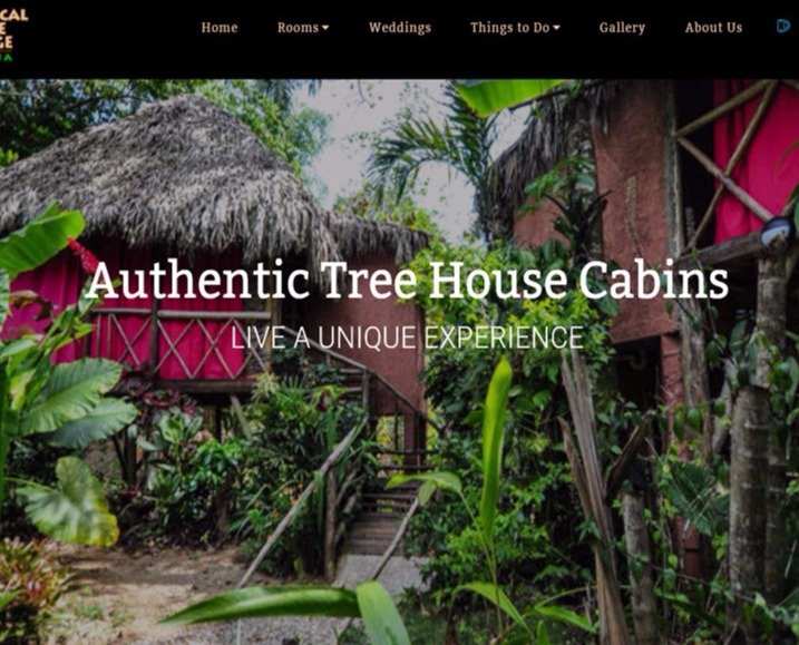 Diseño y desarollo de páginas web en Las Terrenas República Dominicana.